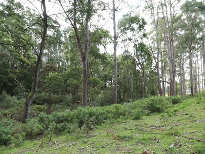 Lot 4, 32 Twin Creeks Road, Mengha