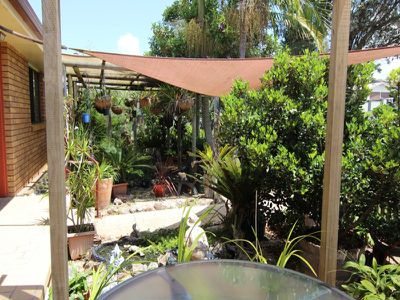 12 Bali Hai Avenue, Forster