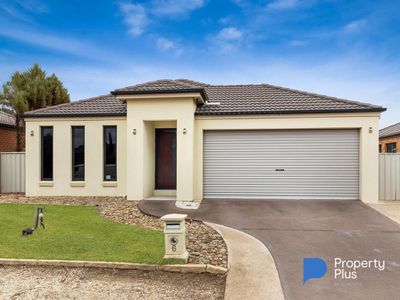 6 Bushwalk Grove, Epsom