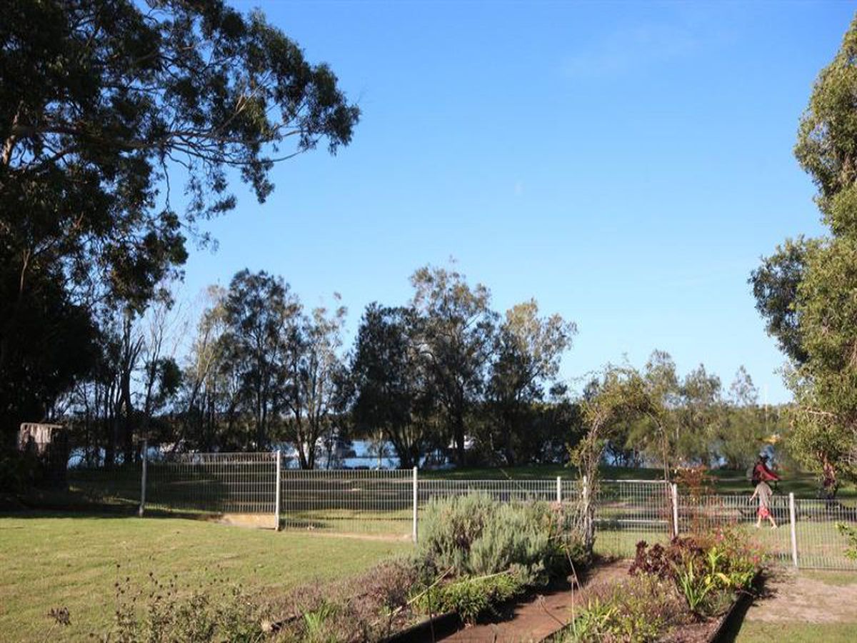 77 James Scott Cres, Lemon Tree Passage, Lemon Tree Passage - Thumbnail 6