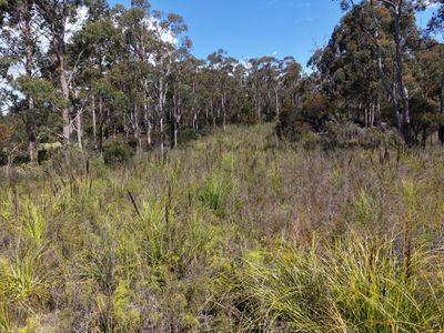 152 Esperance Coast Road, Surges Bay