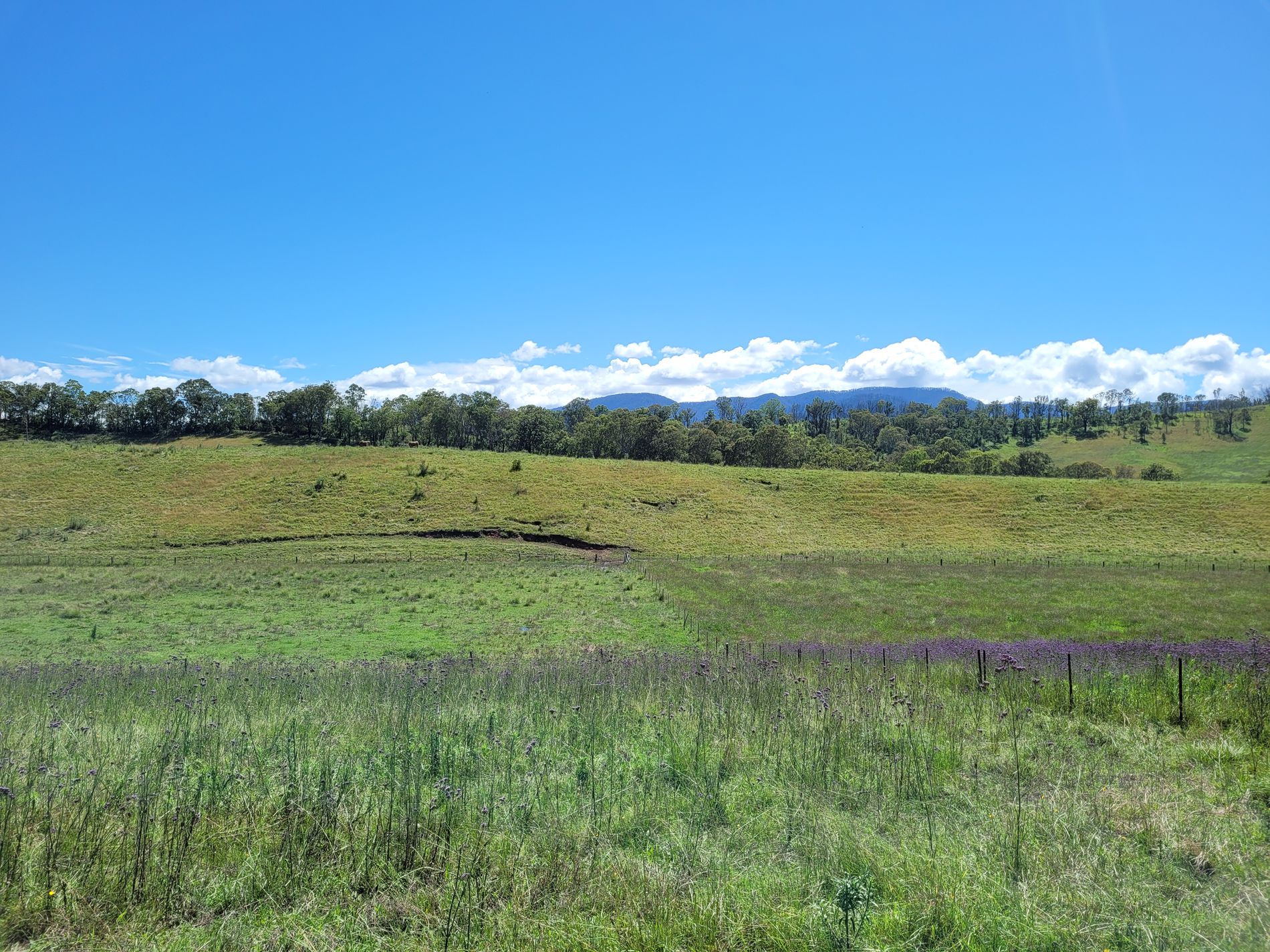 472 Neringla Road, Neringla