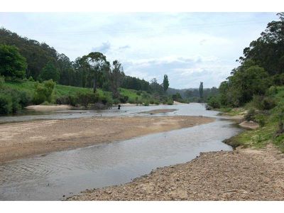 Lot 47 -48 Lower Towamba Road, Kiah