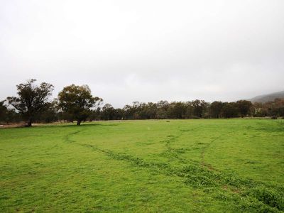 344 Taminick Gap Road, Taminick
