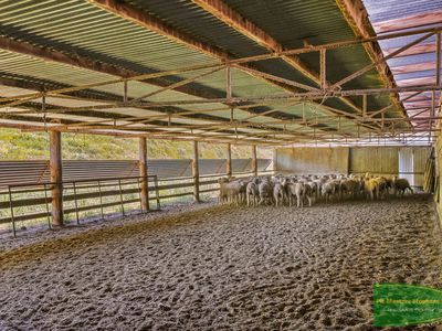 351 Shepherds Creek Road, Euchareena