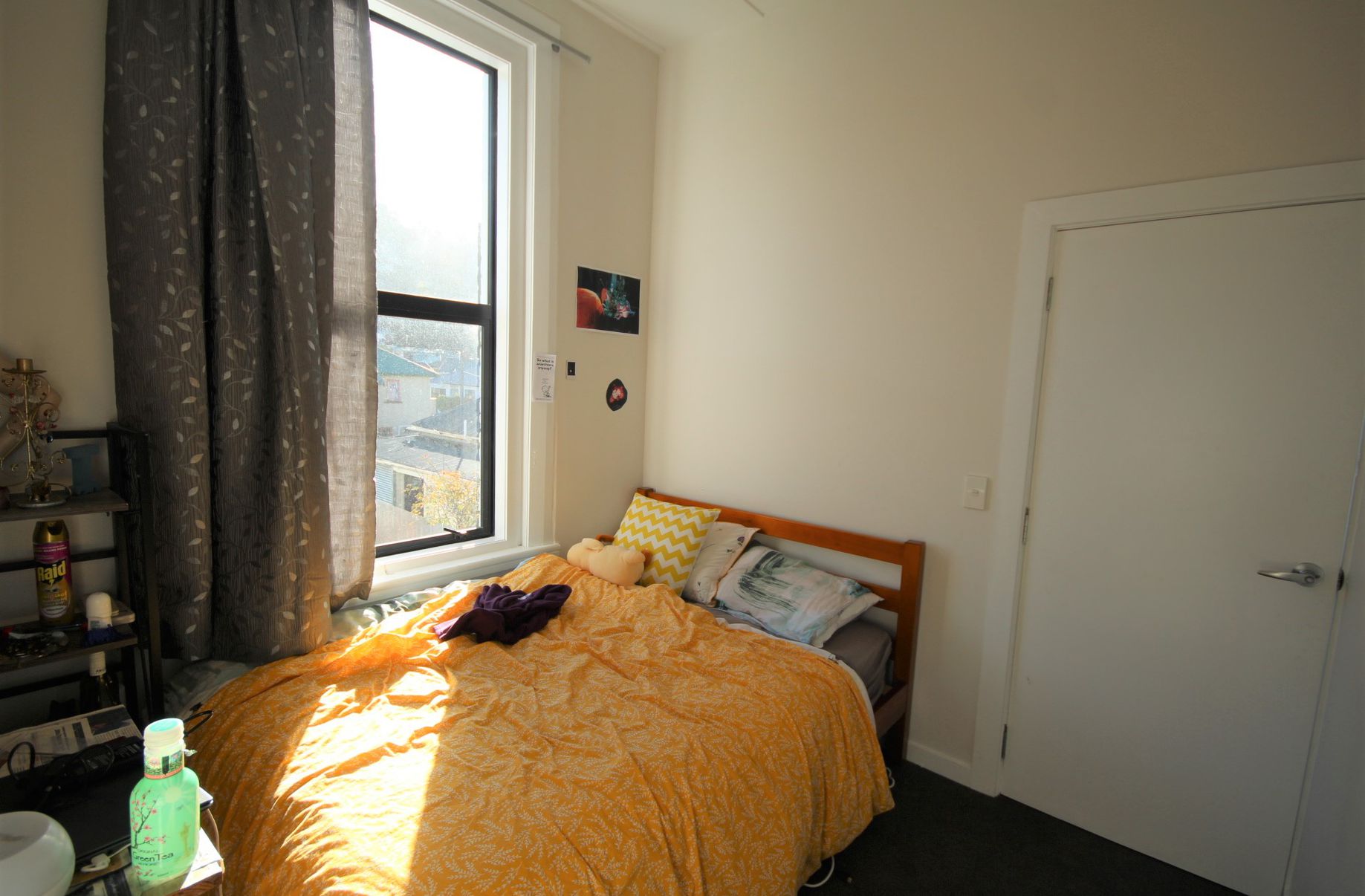 2A Carlyle Street, North East Valley