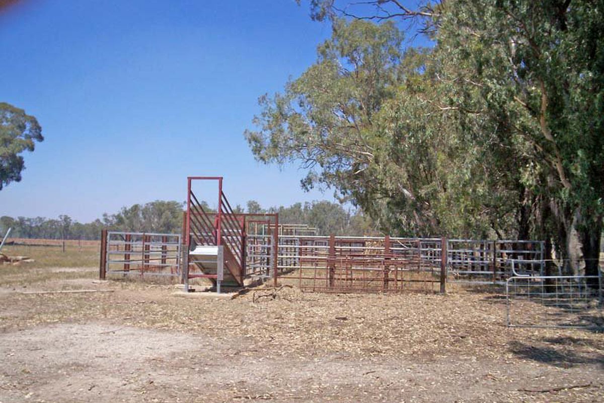 890 Neal Road, Undera