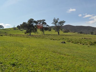 . Tomkins Lane, Allans Flat