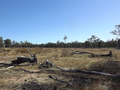 15001 Bruxner Highway, Bonshaw