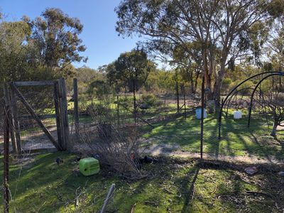 814 Brenanah-Wehla Road, Brenanah