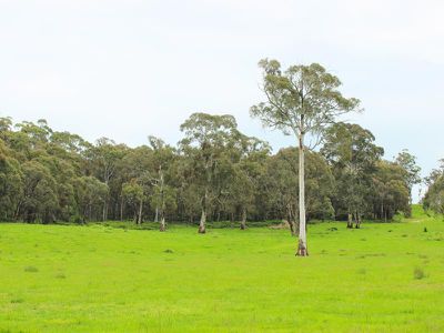 5 Sunset Hills Road, Neville