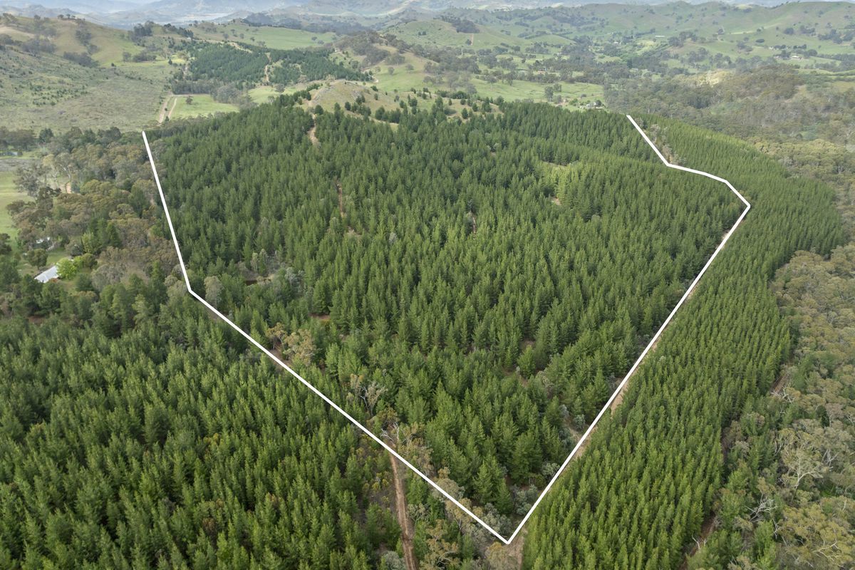 259 Hells Hole Creek Road, Bonnie Doon