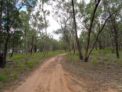 528 Warrumbungle Way, Coolah