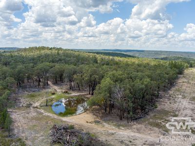 Lot 7, - Emmaville Rd, Emmaville