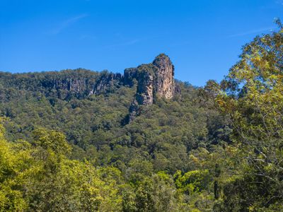 2394 NIMBIN ROAD, Nimbin