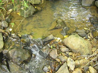 Lot 9 Tulsi Lane, Nimbin
