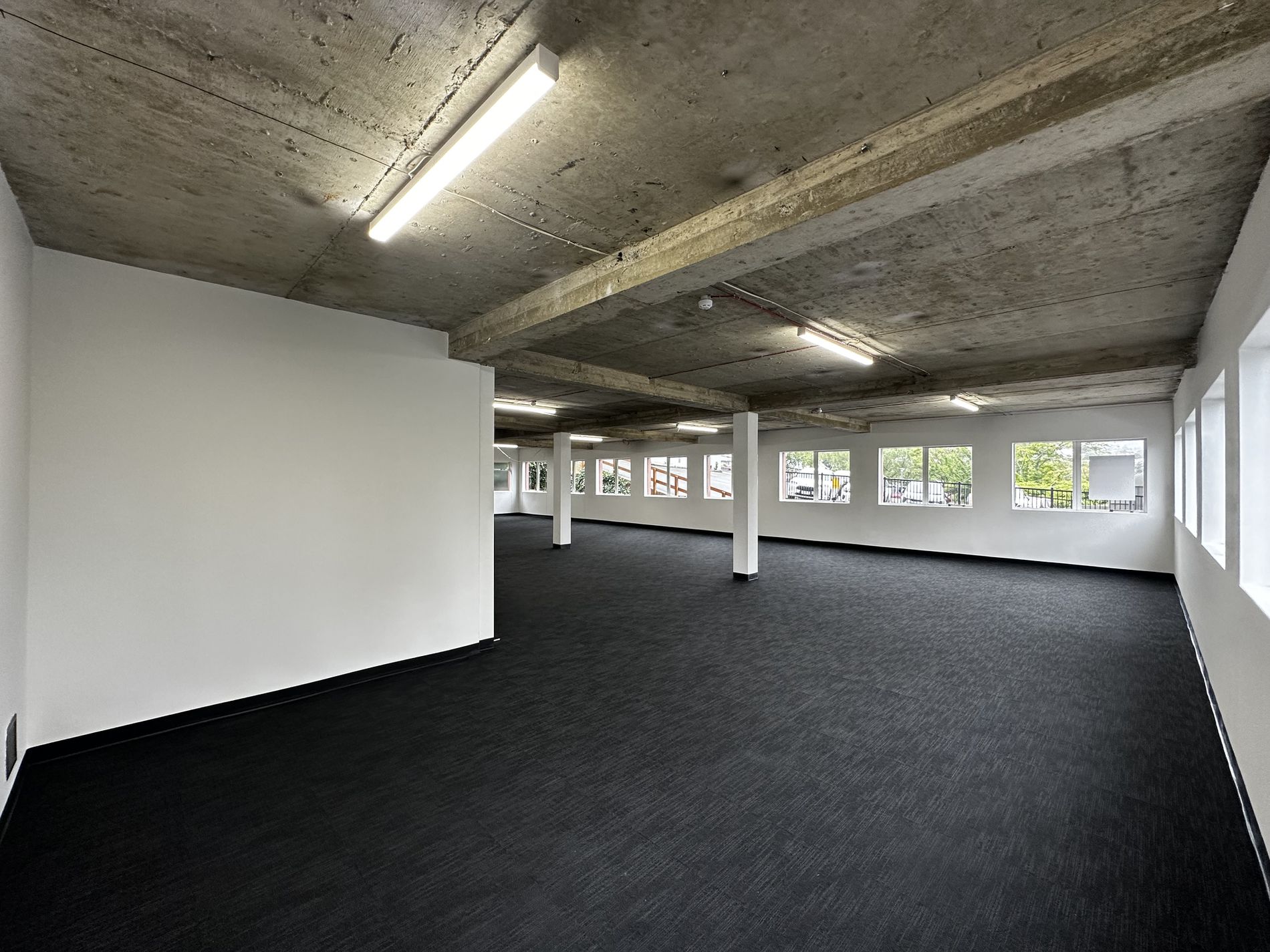 139 Moray Place, Dunedin Central