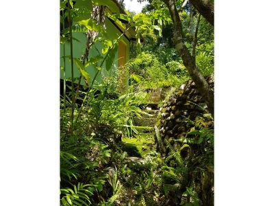 1 Collingwood Road, Rossville