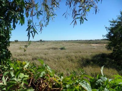 7 Matheson Drive, Port Hedland