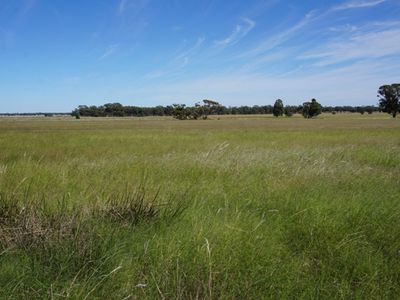 759 Wamboyne Road, West Wyalong