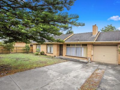 10 Peter Street, Grovedale