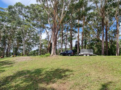76 Maso Road, Repentance Creek