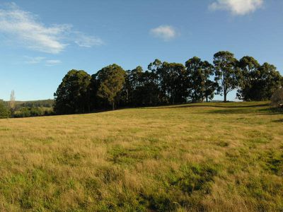 1 Huon Highway, Geeveston