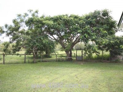 Mareeba