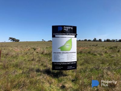 Lot 1, 4000 Korong Vale-Wychitella Road, Woolshed Flat