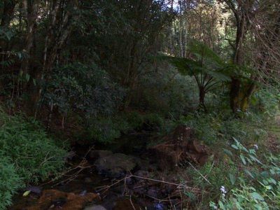 Maleny