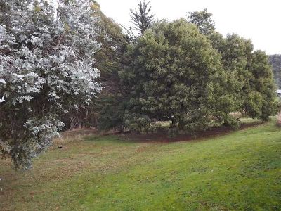 51 Harts Road, Snug