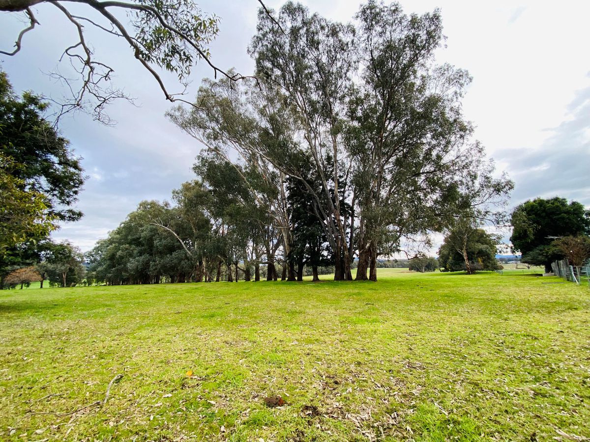 681 WHYTES ROAD, Baranduda sellbuyrent