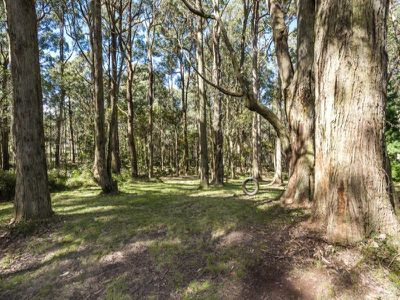 701 Sandy Creek Road, Riddells Creek