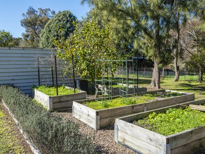 4 Edwards Street, Riddells Creek