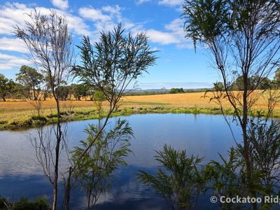 96 Rudgyard Place, Hay