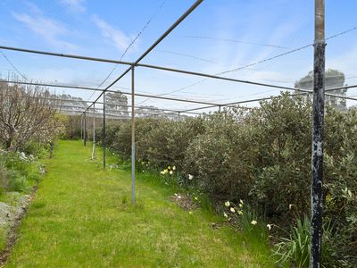 44 Heathcote-East Baynton Road, Heathcote