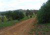 81 Bowans Lane, Cudal
