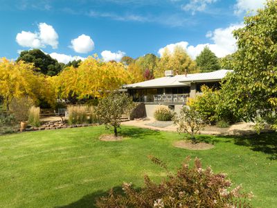 2175 Mt Buller Road, Merrijig