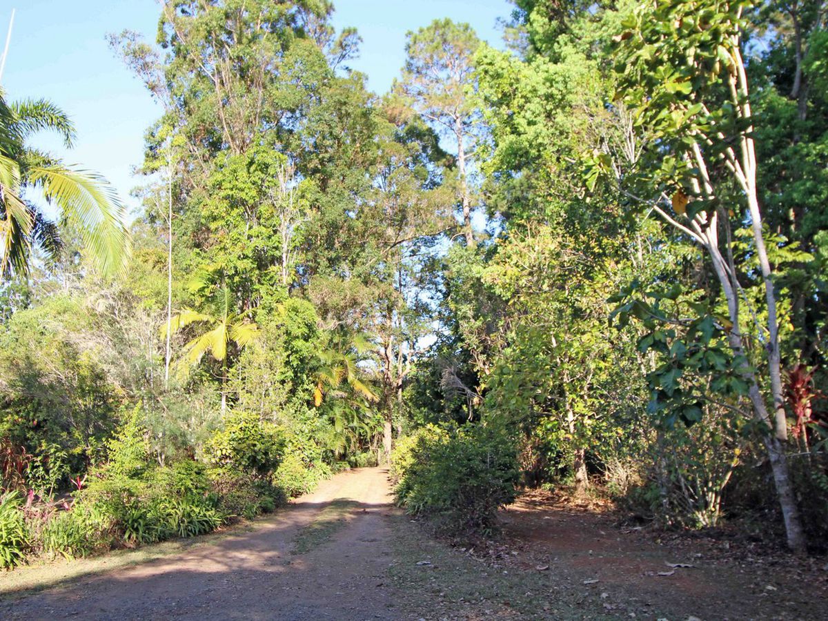 Malanda