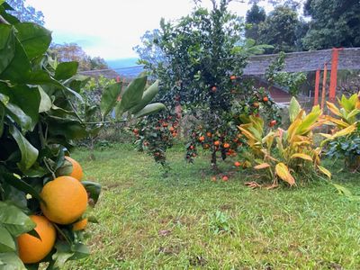 109 Gungas Road, Nimbin