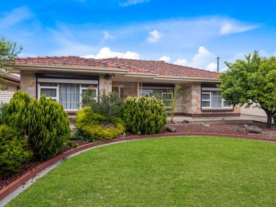 18 Andrea Avenue, Newton