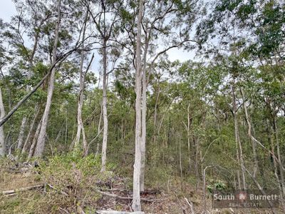 397 Wattle Camp Road, Wattle Camp