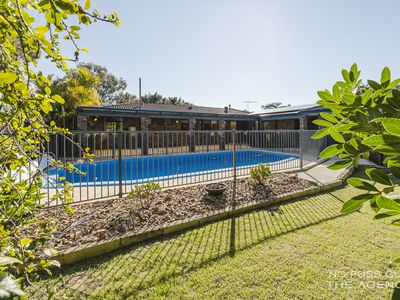 8 Dillenia Way, Greenwood