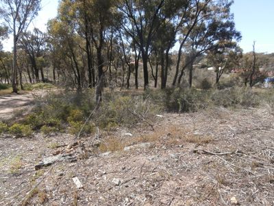 Lot 2  146 Loddon Valley Highway, Sailors Gully