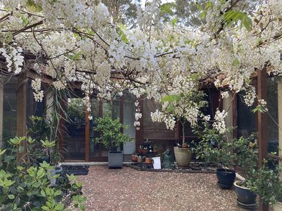 3 Shearwater Place, Tea Gardens