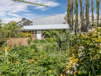 7395 Channel Highway, Cygnet