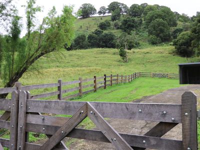 154 Tuntable Creek Road, The Channon