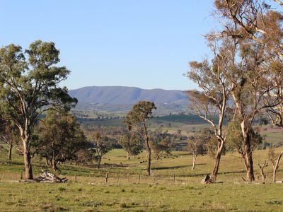312 Bosworth Falls Road, O'connell