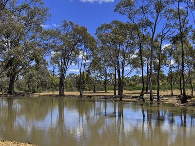 999 Burkes Flat - McIntyre Road, Mcintyre