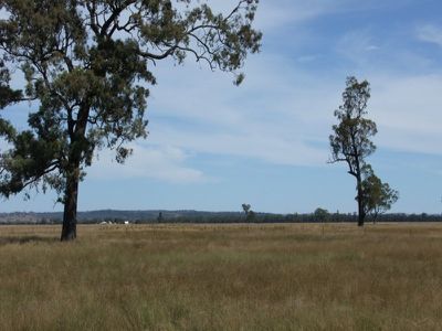 4096 Goolhi Road, Gunnedah